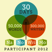 National November Novel Writing Month Participantt